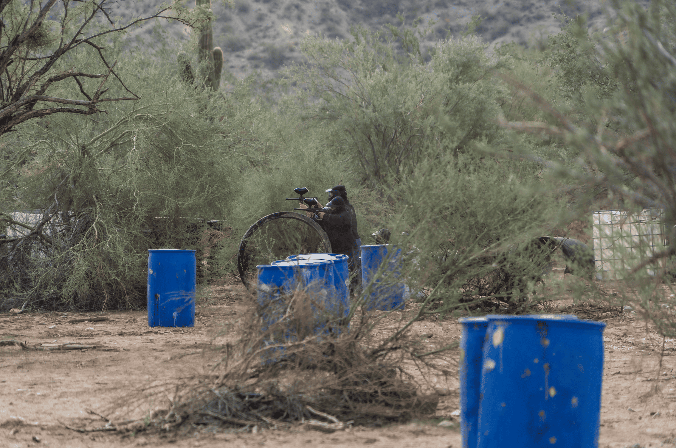 A paintball player crouches behind a circular field obstacle to aim a marker, surrounded by bright blue barrel bunkers and dense Arizona desert brush with a saguaro cactus on the distant hillside at Cowtown Range.
