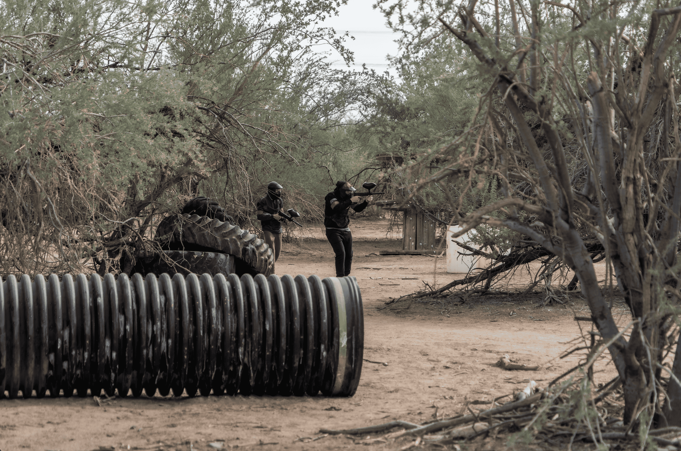 Paintball players move through natural desert trees and brush at Cowtown Range, framed by a large corrugated black plastic drainage pipe bunker in the foreground and a stack of oversized tires.
